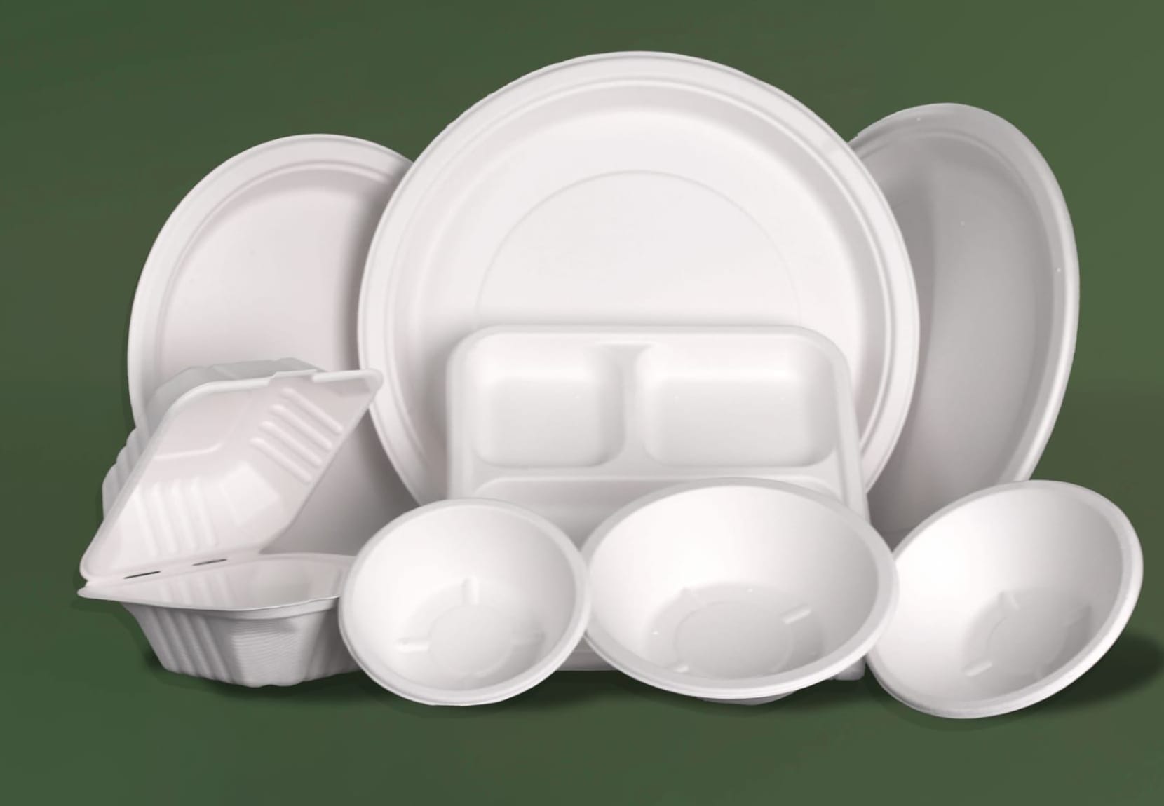 Ecofy compostable bagasse product family: plates, three-compartment meal tray, clamshell and bowls that replace foam foodservice items