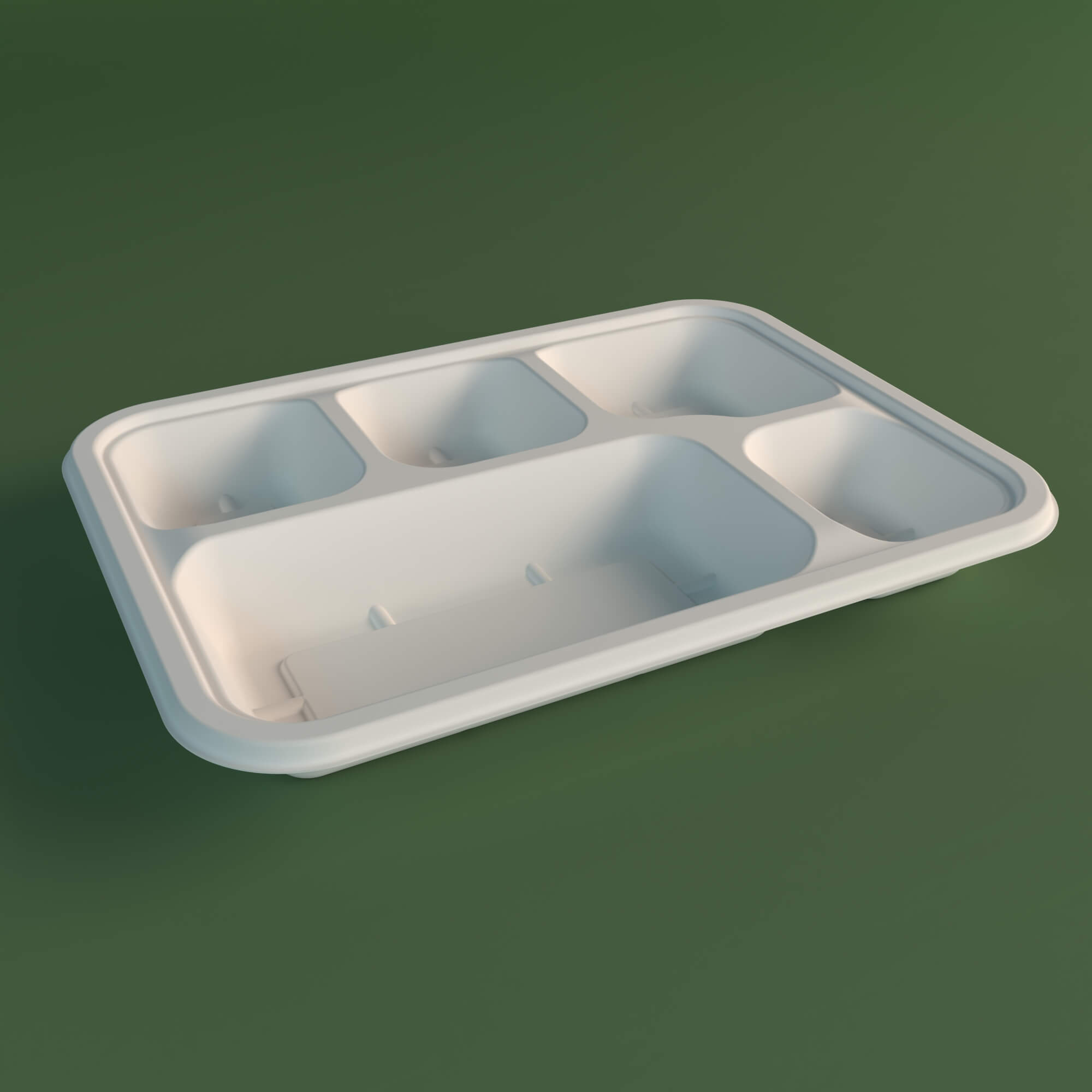 Bagasse Meal Trays