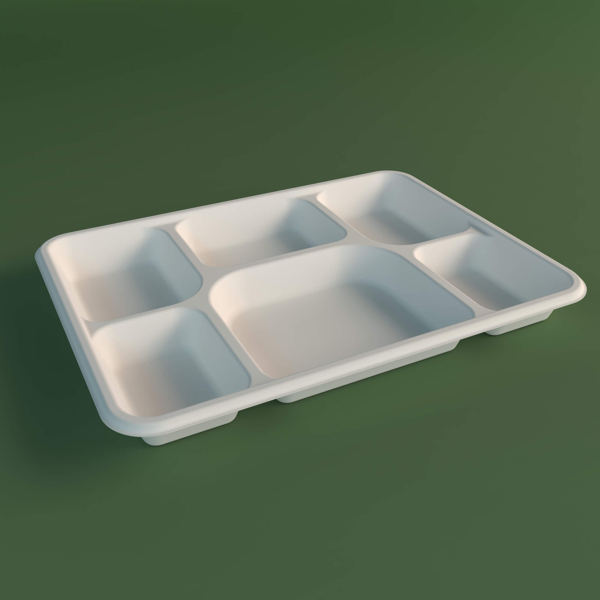 6CP Tray
