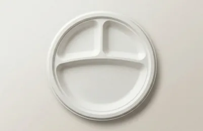 10" 3CP Compartment Plate