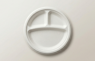 9" 3CP Compartment Plate