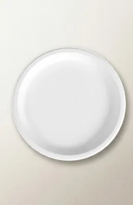 11" Round Bagasse Plate