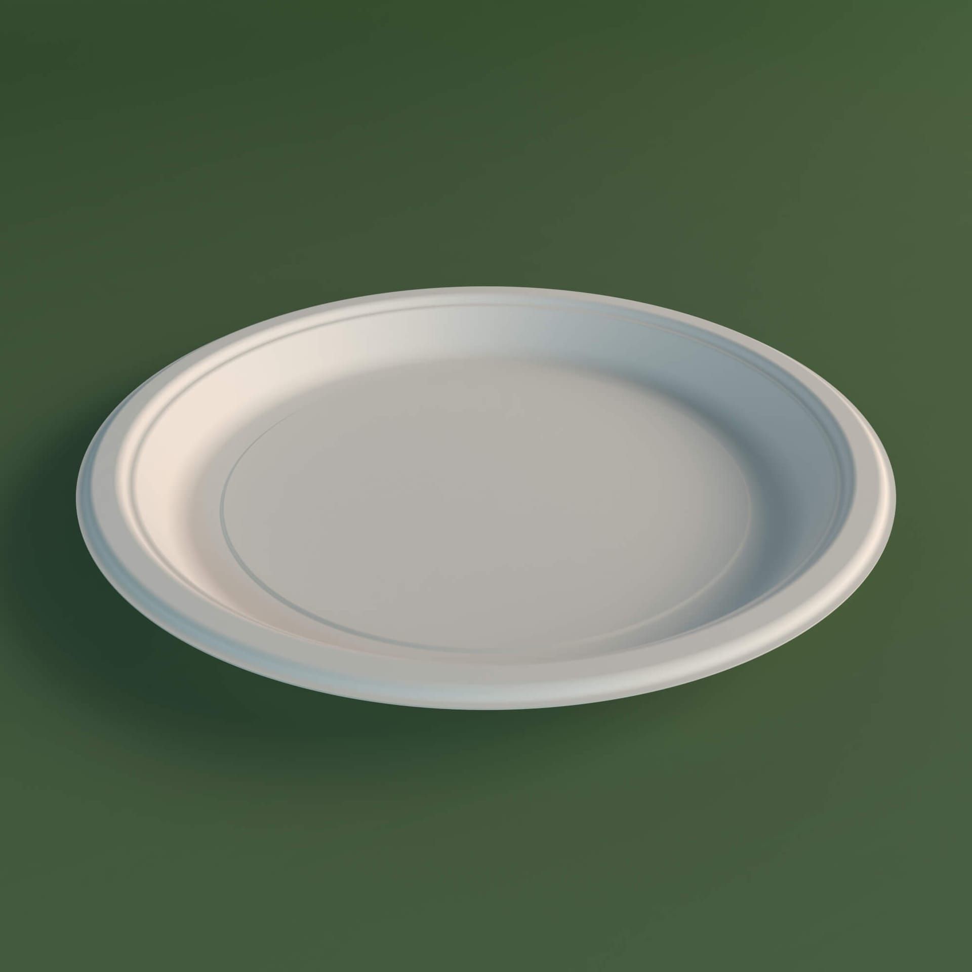 Bagasse Plates